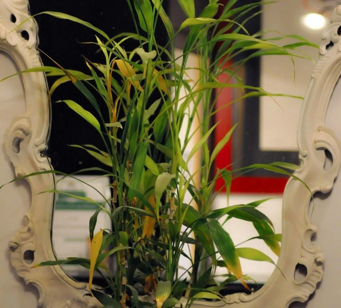 Relais Palazzo Taverna Bed & Breakfast Rome 3*,  Italy